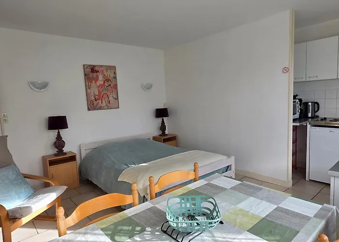 公寓 Avec Wifi, Jardin Et Parking, Pres Des Thermes - Fr-1-541-184 *