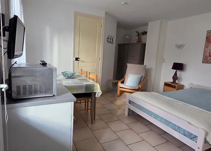 Avec Wifi, Jardin Et Parking, Pres Des Thermes - Fr-1-541-184